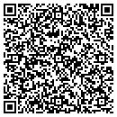 QR code with Premier Batons contacts
