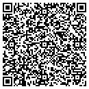 QR code with Chrisman TV & Floral contacts