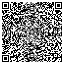 QR code with Pro Precision Machine contacts