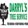 Darryl's Tree Service in New Berlin, WI