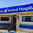 Blue Cross Animal Hospital in Minneapolis, MN