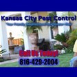 Kansas City Pest Control in Kansas City, MO