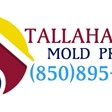 Tallahassee Mold Pros in Tallahassee, FL