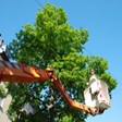 Whispering Tree Service in Port Haywood, VA