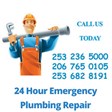 Drain Pro Plumbing Inc in Kent, WA