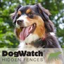 DogWatch of Eastern CT in Enfield, CT