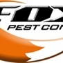 Fox Pest Control in Lexington, KY