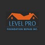 Level Pro Home Services in Stafford, TX