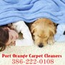 Port Orange Carpet Cleaners in Port Orange, FL