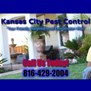 Kansas City Pest Control in Kansas City, MO