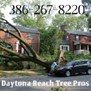 Daytona Beach Tree Pros in Daytona Beach, FL
