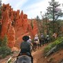 Red Canyon Trail Rides in Bryce, UT