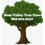 Simi Valley Tree Care in Simi Valley, CA