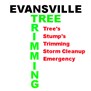 Tree Trimming Evansville in Evansville, IN