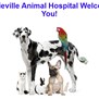 Minnieville Animal Hospital in Woodbridge, VA