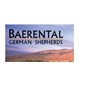baerental german shepherds in Albuquerque, NM