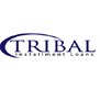 Tribal Installment Loans LLC in Houston, TX