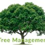 Southern Tree Services in Coral Springs, FL
