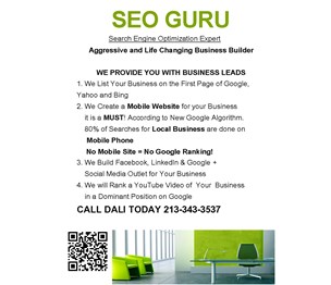 SEO Guru, Business Leads & Mobile Site