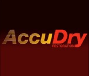 Accu Dry