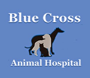 Blue Cross Animal Hospital