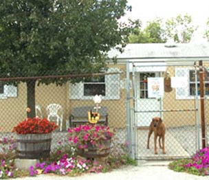 Royalton Kennels