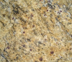 Omicron GraniteOrlando