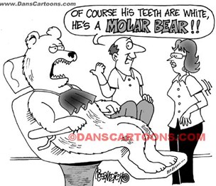 Denali Family Dental Center