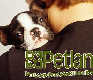 Petland Frisco