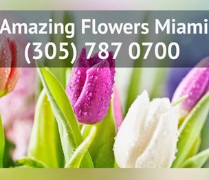 Amazing Flowers Miami