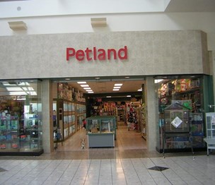 Petland Strongsville