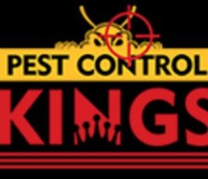 Pest Control Kings