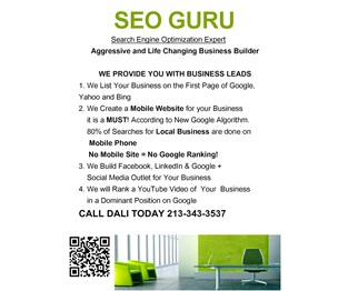SEO Guru, Business Leads & Mobile Site