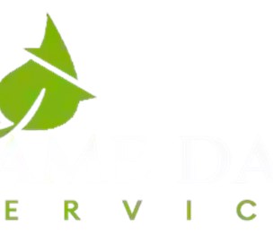Same Day Service - Professional Lawn and Tree Care
