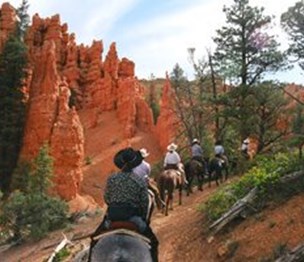 Red Canyon Trail Rides