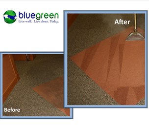 Bluegreen Carpet & Tile Cleaning
