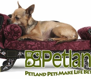 Petland Frisco