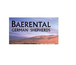 baerental german shepherds