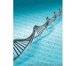 DNA Testing Services Of Chicago