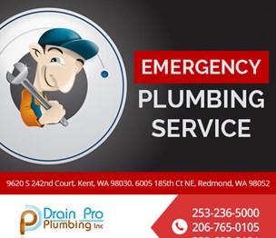 Drain Pro Plumbing Inc