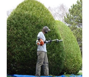 Columbia Landscaping and Tree Care
