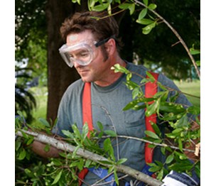 Columbia Landscaping and Tree Care