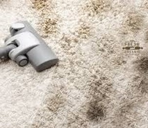 Miami Carpet Cleaning Experts