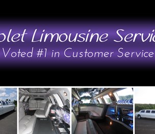 Violet Limousine Service Inc.