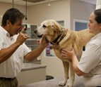 Animal_Hospital_San_Antonio_TX.JPG