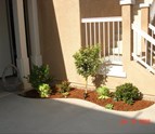 LandscapingAfterSanDiegoCA.jpg