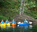 beaver_lodge_on_watauga_river_with_watauga_kayak4.jpg