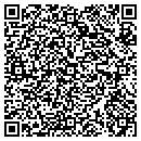 QR code with Premier Caulking contacts