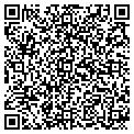 QR code with M Corp contacts