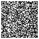 QR code with Precision Magnetics contacts
